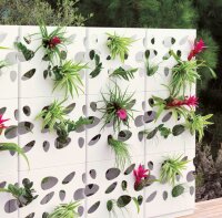 Pflanzenwand für Blumen als Sichtschutzelemente Vertikaler Garten